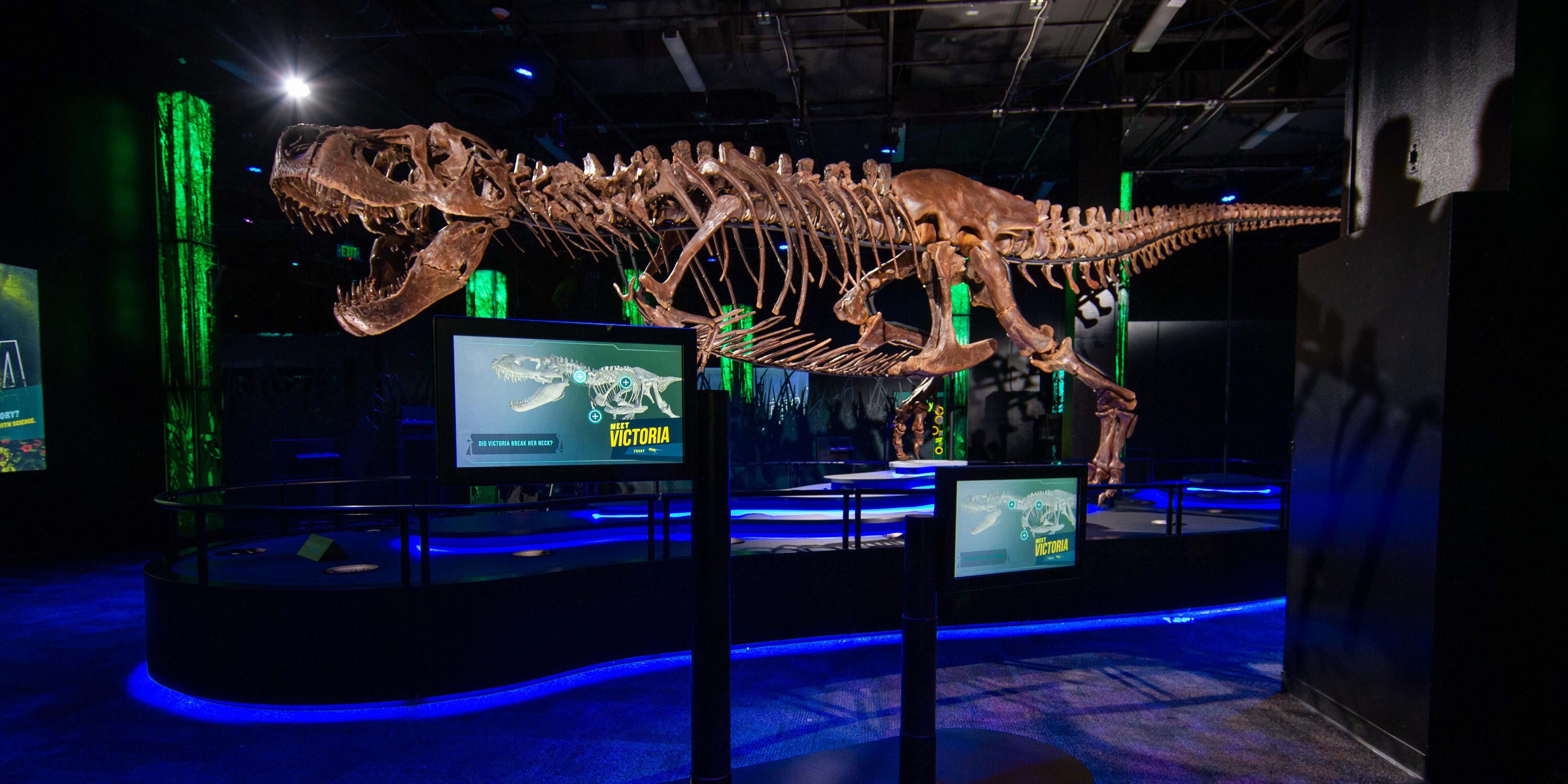 LED Lighting exhibition with trex bones